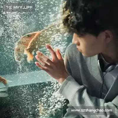 庞眉